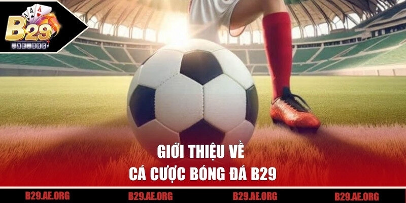 Giới thiệu về cá cược bóng đá B29